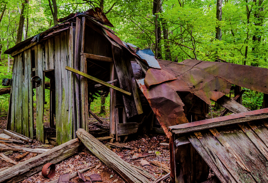 Blue Ridge shack remains - Jon Bilous