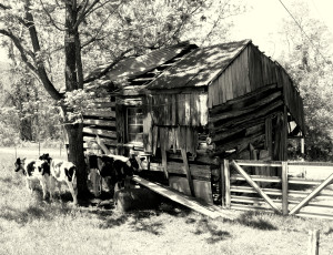 Francis Meadows barn Swift Run Gap VA 1750-1800.2.bw