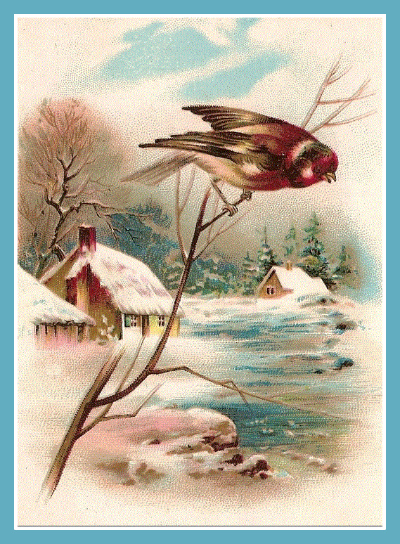 Bird cottage winter.GIF