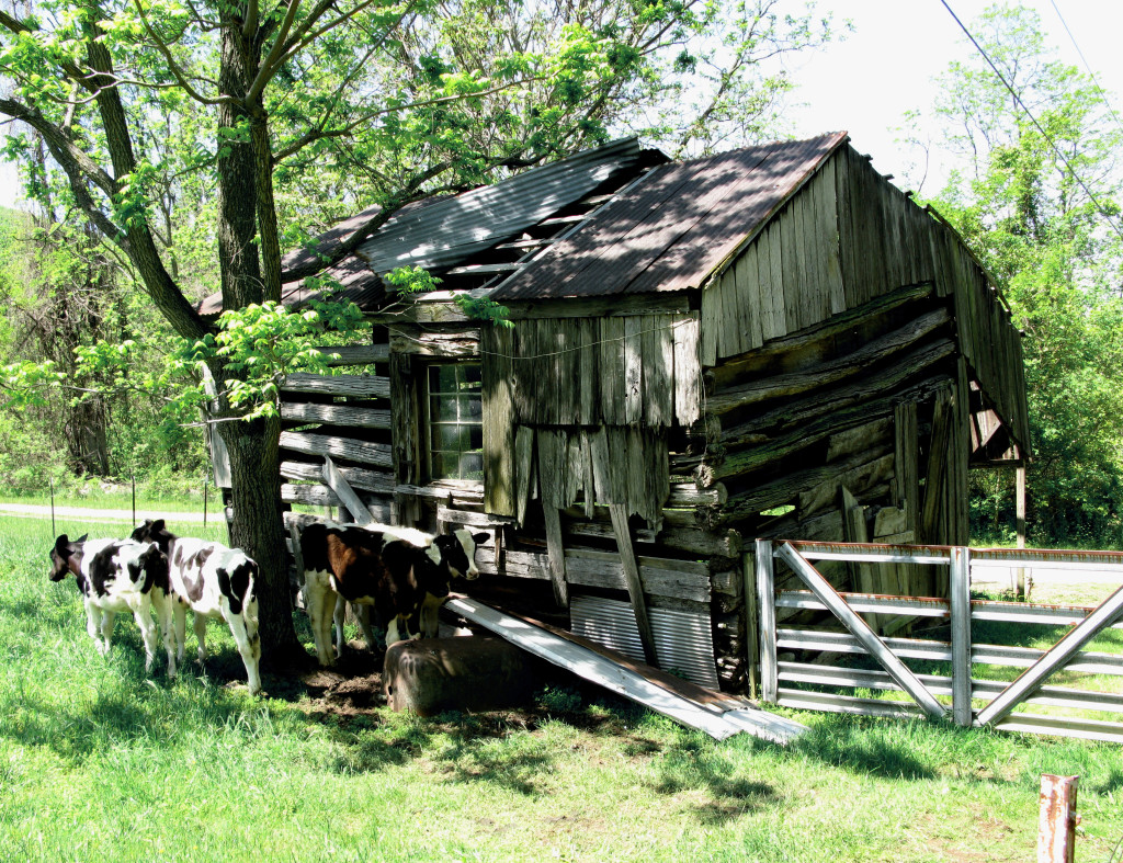 Francis Meadows barn Swift Run Gap VA 1750-1800.2