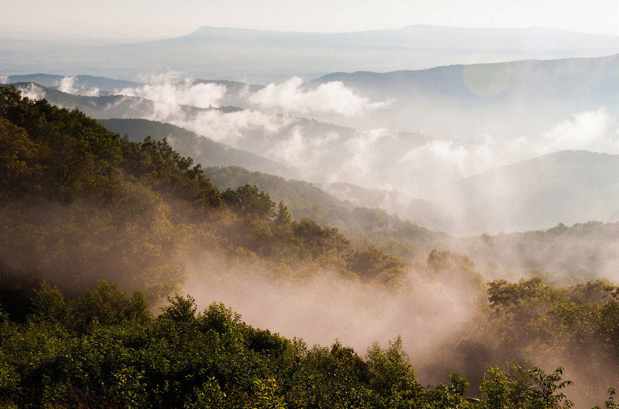 Blue Ridge mists - Jon Bilous.GIF